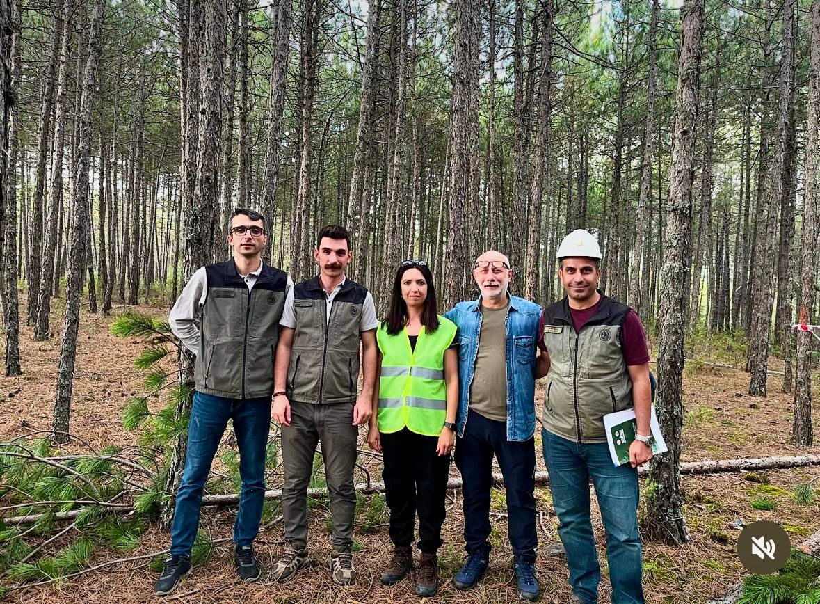 Kastamonu Ormanlarında Uygulamalı Silvikültür ve Toprak Eğitimi