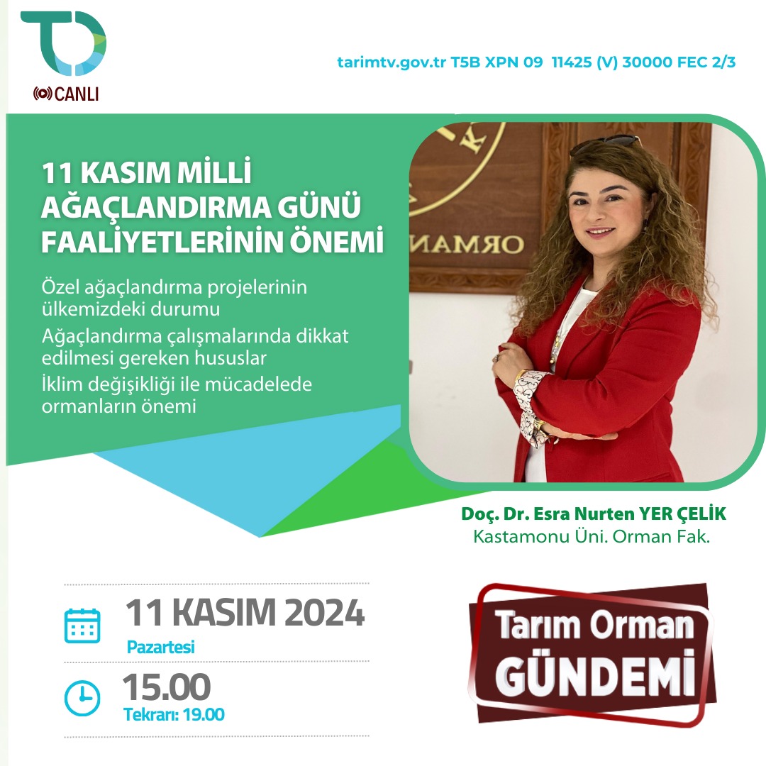 11 Kasım Milli Ağaçlandırma Günü Faaliyetlerinin Önemi