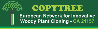 Öğretim Üyemiz Prof. Dr. Sezgin AYAN COPYTREE COST Aksiyonunda