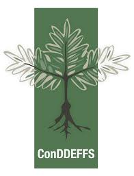 ConDDEFFS