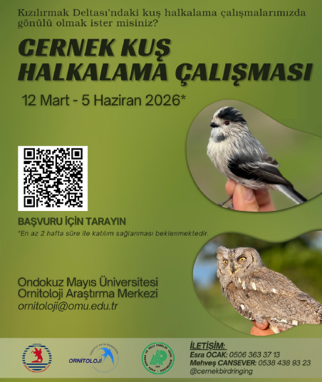 Yaban Hayatı Geliştirme Sahasında Yürütülen Kuş Halkalama Çalışması Hakkında