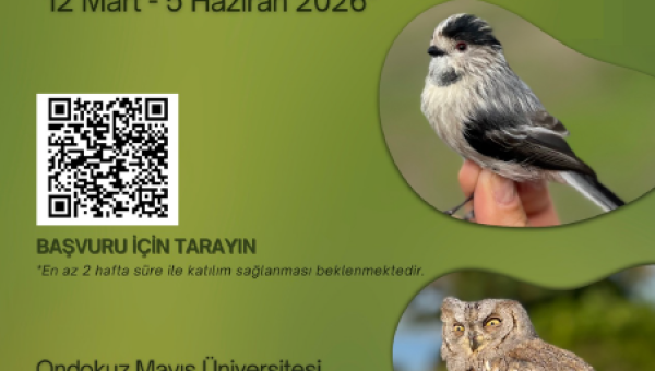 Yaban Hayatı Geliştirme Sahasında Yürütülen Kuş Halkalama Çalışması Hakkında
