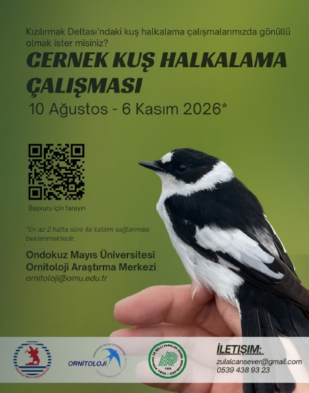 Halkalama Çalışmaları Hakkında