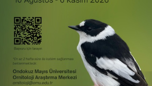 Halkalama Çalışmaları Hakkında